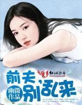 总裁前夫,别乱来