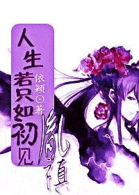 人生若只是如初见