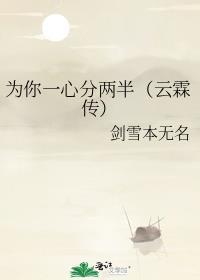 为你一心分两半（云霖传）