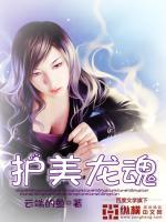 护美龙魂txt