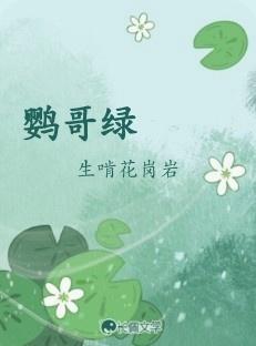 鹦哥绿豆多少钱一斤