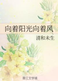 向着阳光向着风