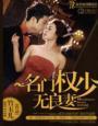 名门权少无良妻