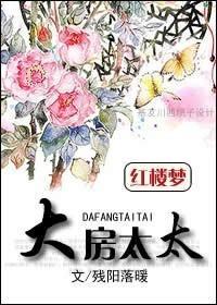 红楼之大房太太