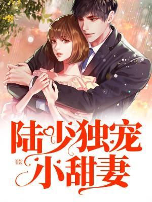 陆少独宠小甜妻