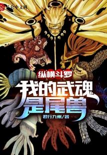 纵横斗罗:我的武魂是尾兽