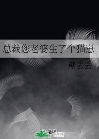 总裁您老婆生了个猫崽