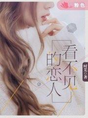 看不见的恋人夏暖夜莫深