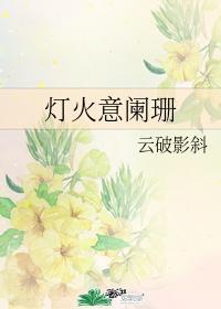 灯火意阑珊网名
