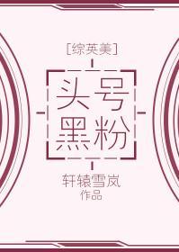 [综英美]头号黑粉