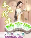 春光灿烂杨家将 第5章