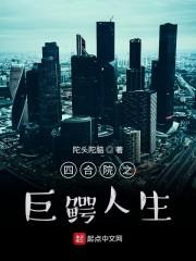 四合院之巨鳄人生何雨梁